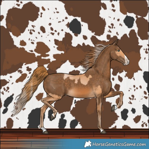 Horse Color:Bay Pearl Splash  and Chocolate Palomino Splash 