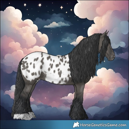 Horse Color:Grullo Blanket Rabicano 