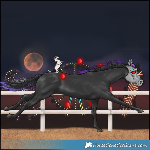 Horse Color:Black 