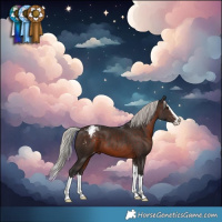 Horse Color:Silver Brown Sabino Splash Varnish 
