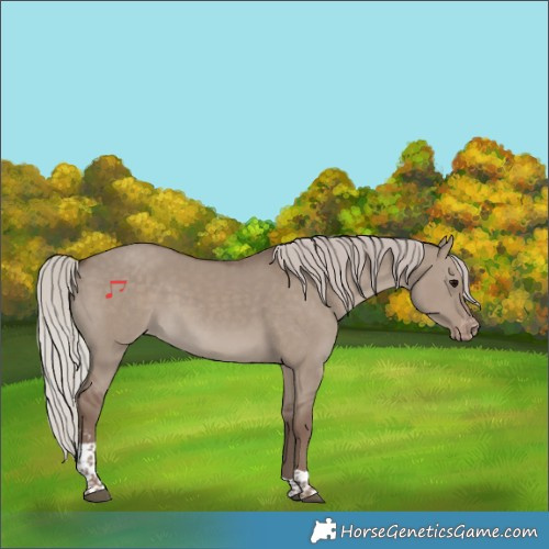 Horse Color:Silver Grullo Sabino Tobiano Varnish