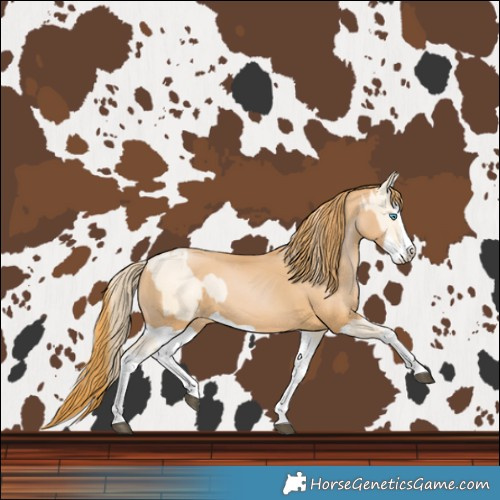 Horse Color:Bay Snowdrop Pearl Splash  and Chestnut Pearl Splash 