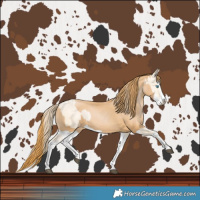 Horse Color:Bay Snowdrop Pearl Splash and Chestnut Pearl Splash