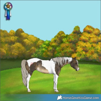 Horse Color:Silver Buckskin Tobiano Rabicano 