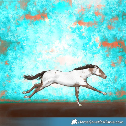 Horse Color:Classic Champagne Near Fewspot Rabicano