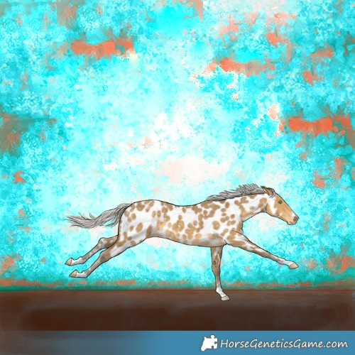 Horse Color:Silver Classic Cream Champagne Near Leopard 