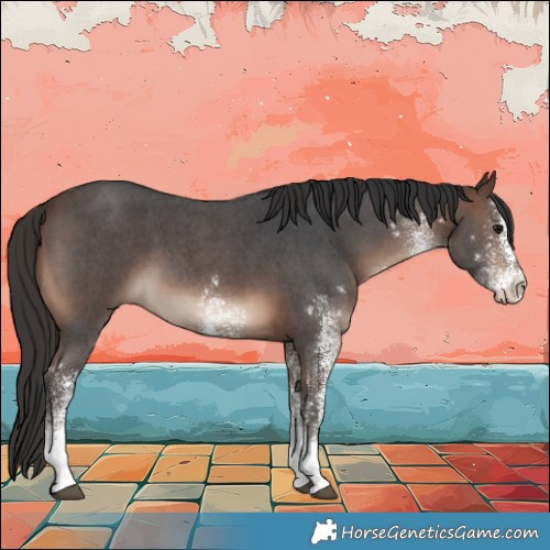 Horse Color:White Spotted Brown 