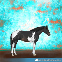 Horse Color:Brown Tobiano