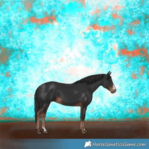 Horse Color:Liver Chestnut Sabino 
