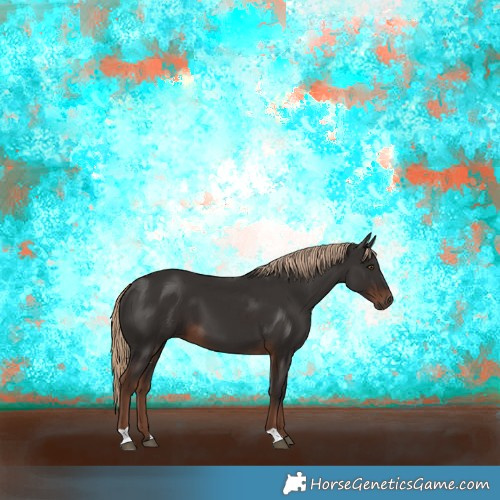 Horse Color:Liver Chestnut 