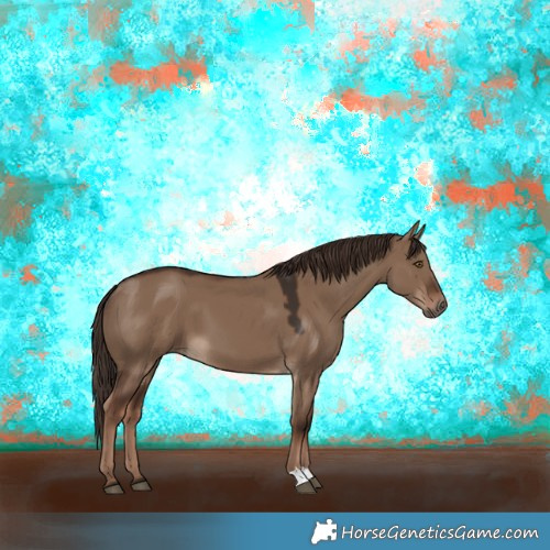 Horse Color:Liver Red Dun