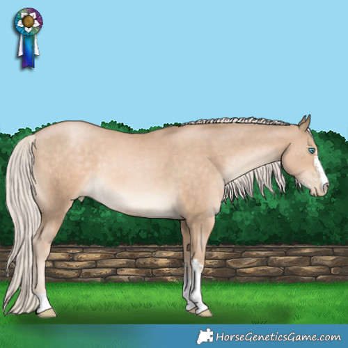 Horse Color:Chocolate Palomino Pearl Sabino 