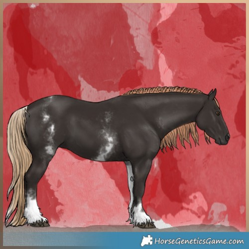 Horse Color:White Spotted Liver Chestnut 