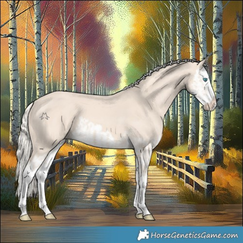 Horse Color:Cremello Splash  and Cremello Splash 