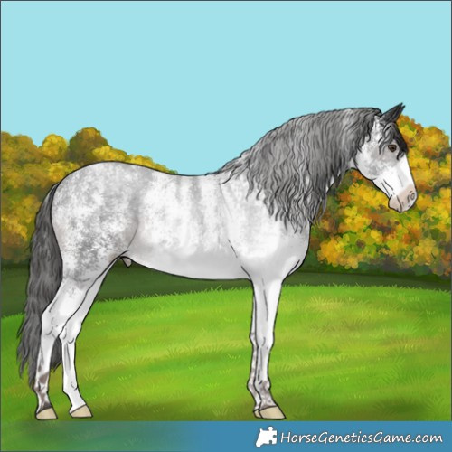 Horse Color:Powder White Platinum White Spotted Liver Chestnut