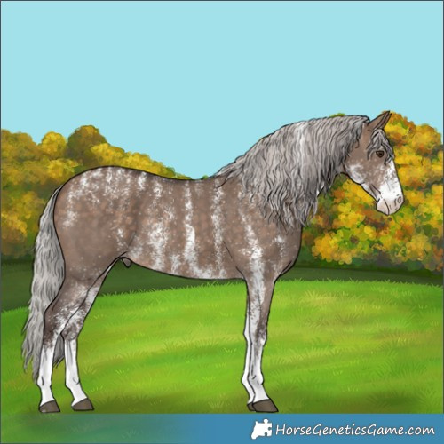 Horse Color:Powder White White Spotted Silver Brown Dun