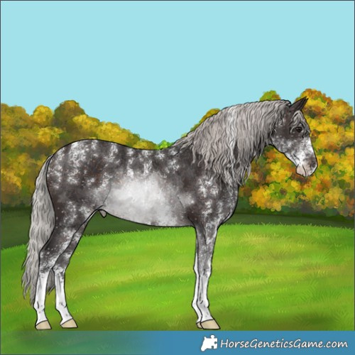 Horse Color:Powder White White Spotted Silver Brown Rabicano 