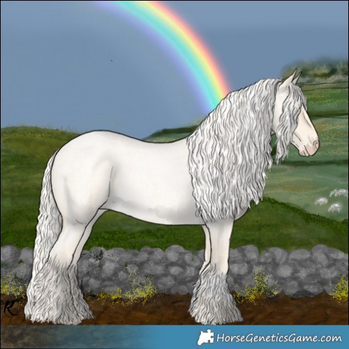 Horse Color:Cremello Roan Splash  and Cremello Roan 