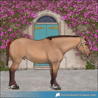 Horse Color:Chocolate Bay Dun