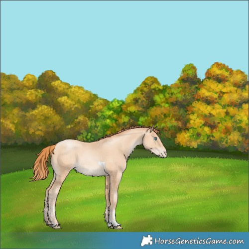 Horse Color:Amber Champagne Pearl Tobiano 