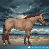 Horse Color:Chocolate Bay Dun