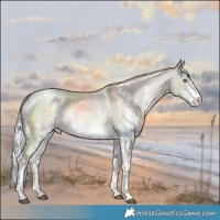 Horse Color:Platinum Silver Grullo Pearl Sabino Rabicano