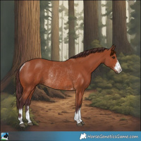 Horse Color:Chocolate Bay Rabicano 
