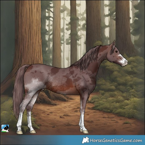 Horse Color:Chocolate Brown Merle Rabicano 