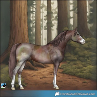 Horse Color:Chocolate Brown Merle Rabicano