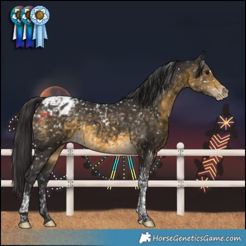 Horse Color:Buckskin Tobiano Snowflake Varnish Rabicano and Buckskin Tobiano Snowflake Varnish Rabicano