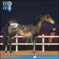 Horse Color:Buckskin Tobiano Snowflake Varnish Rabicano and Buckskin Tobiano Snowflake Varnish Rabicano