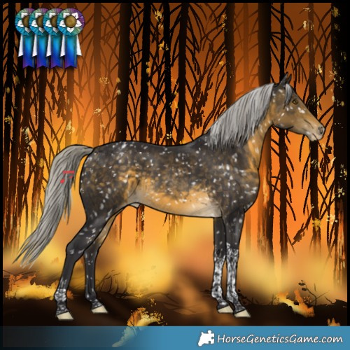Horse Color:Silver Buckskin Tobiano Snowflake Varnish Rabicano 