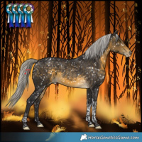 Horse Color:Silver Buckskin Tobiano Snowflake Varnish Rabicano 