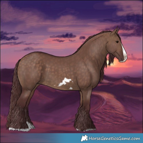 Horse Color:Chocolate Bay Dun Splash Frame