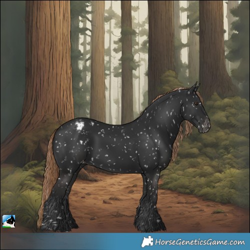 Horse Color:Liver Chestnut Blanket 