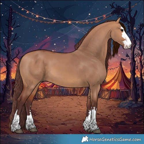 Horse Color:Chocolate Bay Dun 
