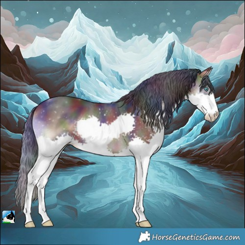 Horse Color:Nacre Brown Onyx Splash