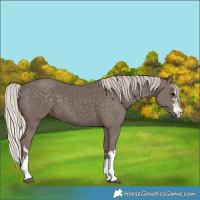 Horse Color:Silver Black 