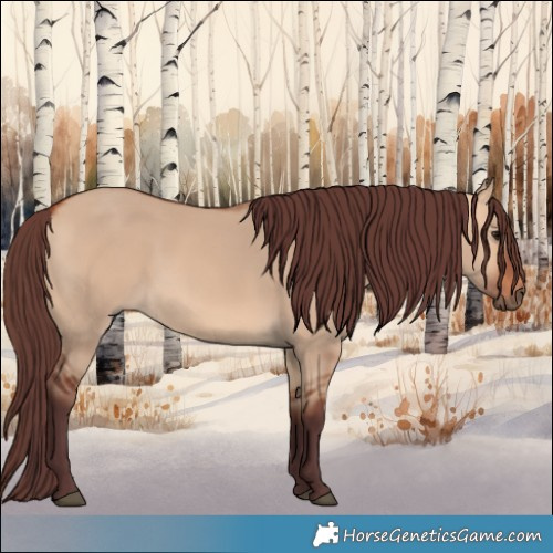 Horse Color:Chocolate Bay Dun