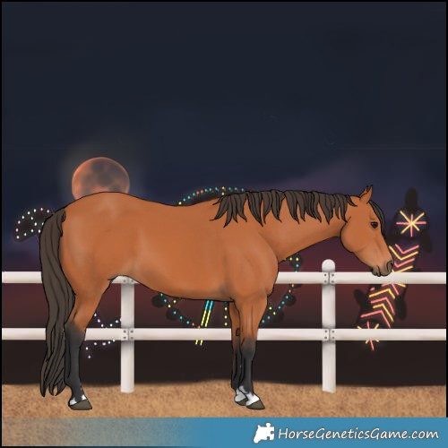 Horse Color:Bay 