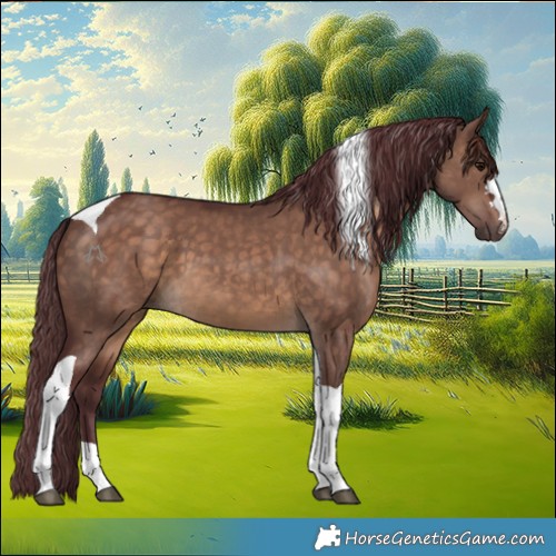 Horse Color:Chocolate Brown Dun Tobiano