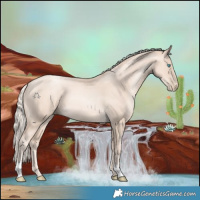 Horse Color:Gold Cream Champagne Pearl 
