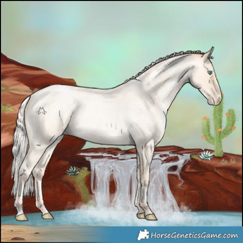 Horse Color:Silver Amber Cream Champagne Roan Pearl 