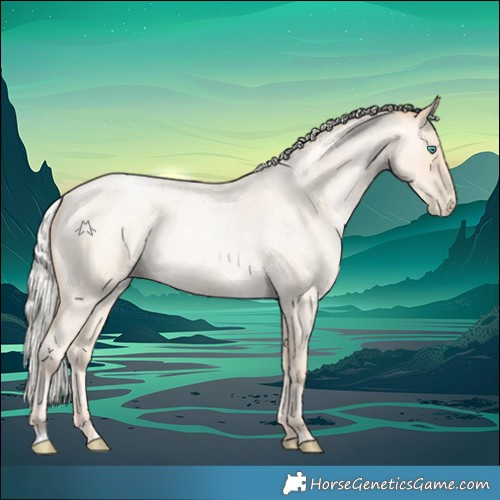 Horse Color:Silver Amber Cream Champagne Roan Pearl