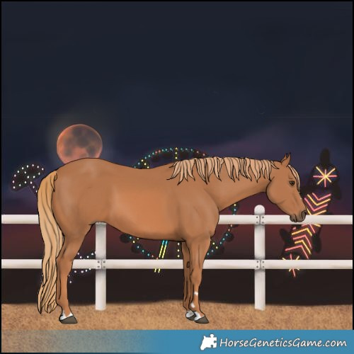 Horse Color:Chestnut 