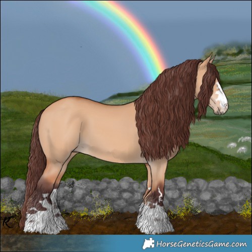 Horse Color:Chocolate Bay Dun 