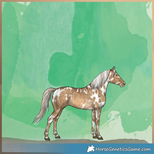 Horse Color:Chocolate Palomino Dun Skewed LP Spotted Brindle