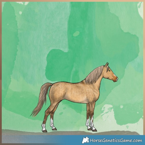 Horse Color:Chocolate Palomino Dun Brindle