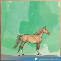 Horse Color:Chocolate Palomino Dun Brindle 