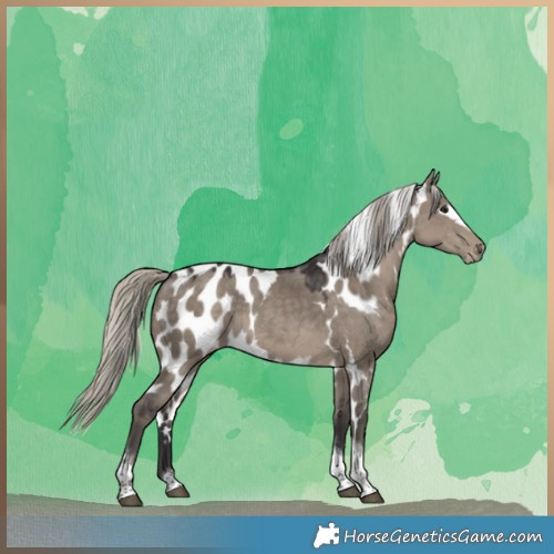 Horse Color:Silver Smoky Grullo Tobiano Frame Skewed LP Spotted 